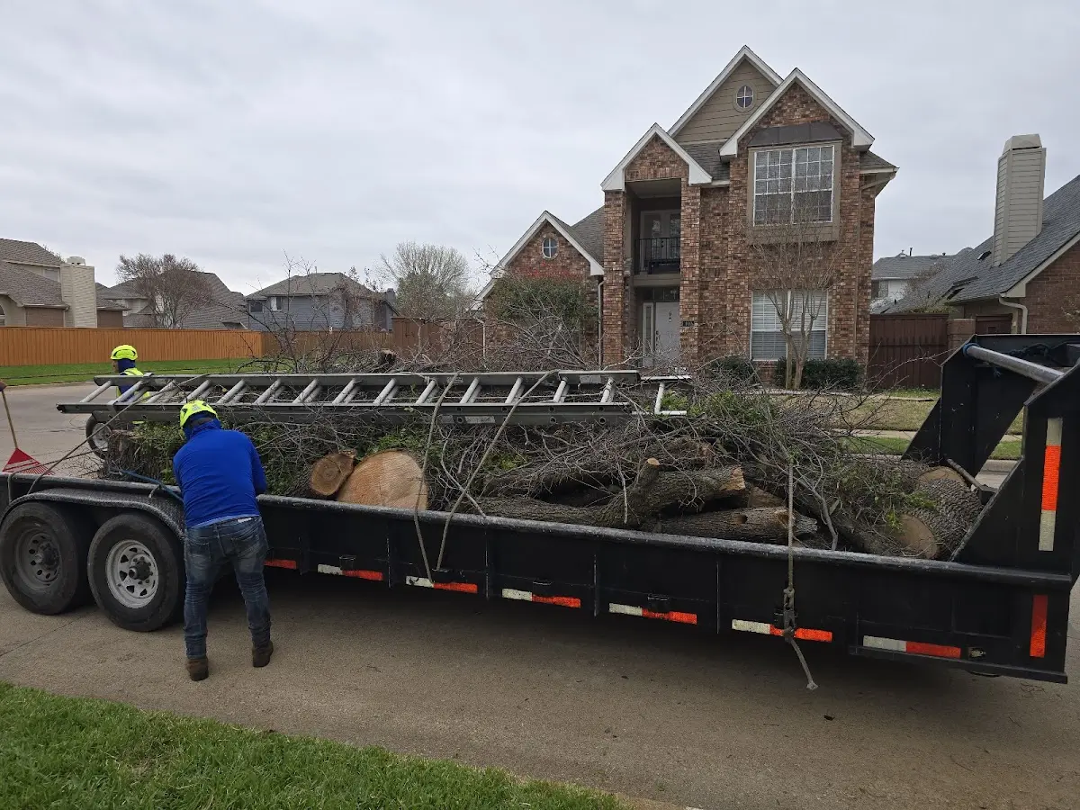 Expert Tree Removal with proper safety equipment in Tecumseh